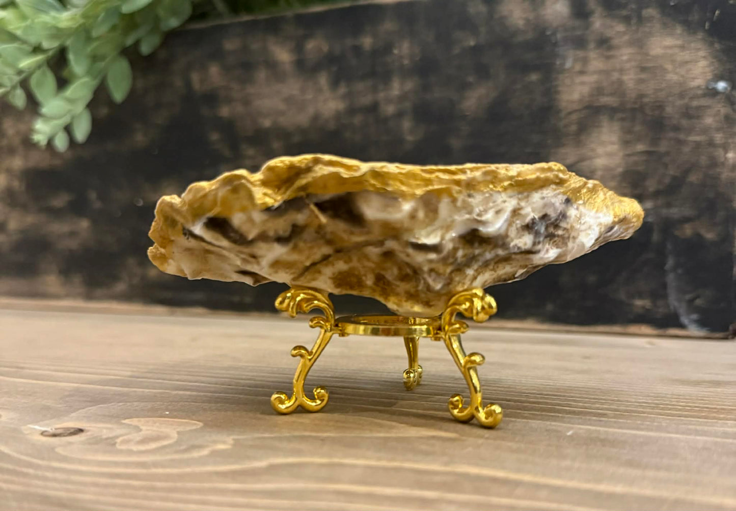 Oyster Jewelry Holder RTS